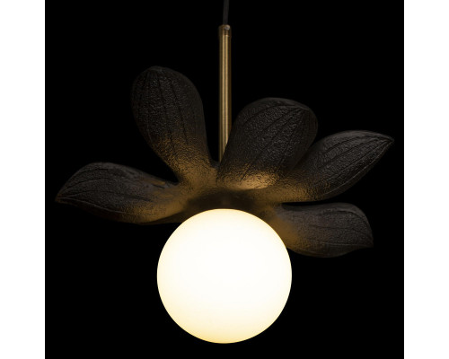 Оформить заказ Подвесной светильник LOFT IT 10213/B Black| VIVID-LIGHT.RU