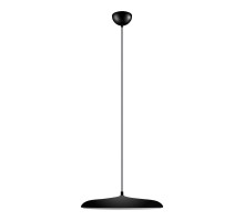 Подвесной светильник LOFT IT 10119 Black