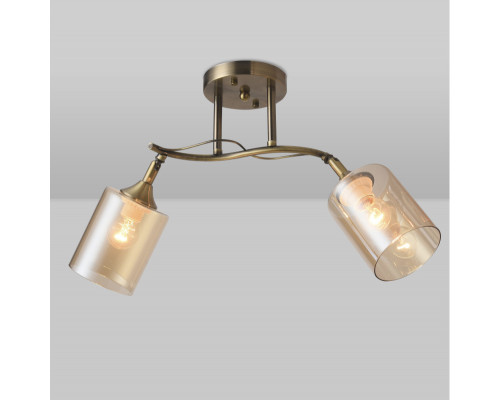 Купить Подвесной светильник Natali Kovaltseva 81452/2W| VIVID-LIGHT.RU