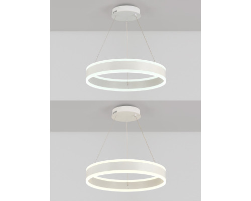 Оформить заказ Подвесной светильник Natali Kovaltseva LED LAMPS 81187| VIVID-LIGHT.RU