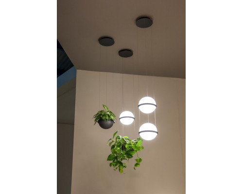 Сделать заказ Подвесной светильник ImperiumLoft 168490-22| VIVID-LIGHT.RU