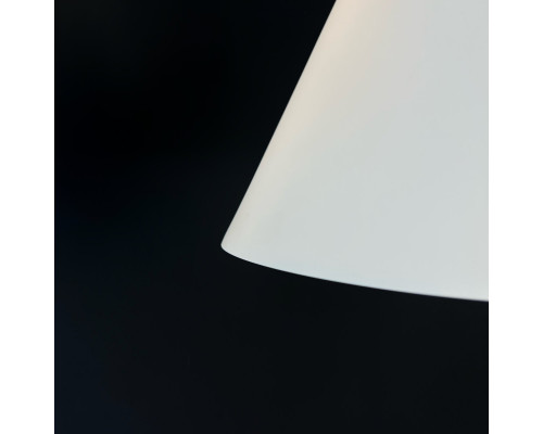 Сделать заказ Подвесной светильник ImperiumLoft 178212-26| VIVID-LIGHT.RU