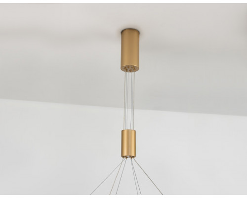 Оформить заказ Подвесной светильник Ambrella Light FL5885| VIVID-LIGHT.RU