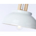 Оформить заказ Подвесной светильник Ambrella Light TR8190| VIVID-LIGHT.RU