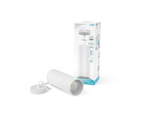 Заказать Подвесной светильник Gauss HD036| VIVID-LIGHT.RU