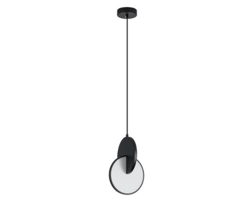 Оформить заказ Подвесной светильник ARTE Lamp A1916SP-1BK| VIVID-LIGHT.RU