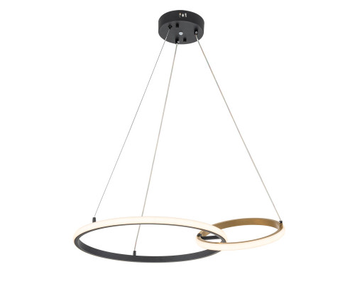 Сделать заказ Подвесной светильник Escada 10230/2LED Black/Gold| VIVID-LIGHT.RU