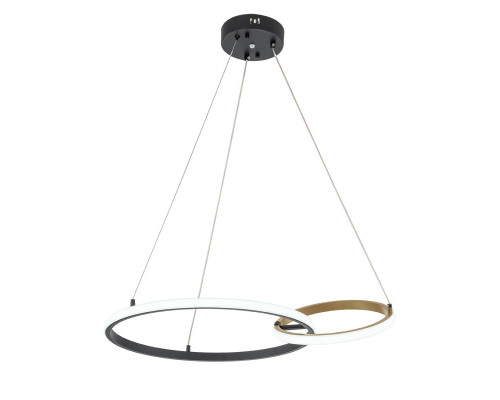 Сделать заказ Подвесной светильник Escada 10230/2LED Black/Gold| VIVID-LIGHT.RU