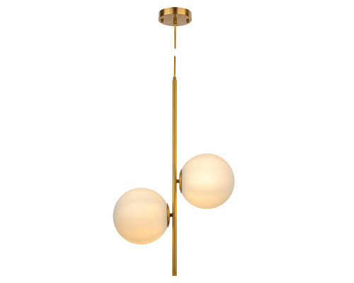 Оформить заказ Подвесной светильник AM Group AM8510 2L| VIVID-LIGHT.RU