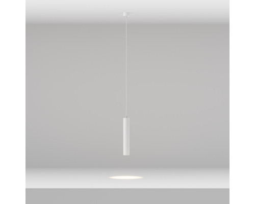 Сделать заказ Подвесной светильник Maytoni Technical P072PL-L12W3K-1| VIVID-LIGHT.RU