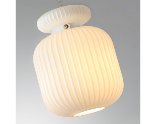 Сделать заказ Подвесной светильник Odeon Light 5042/1C| VIVID-LIGHT.RU