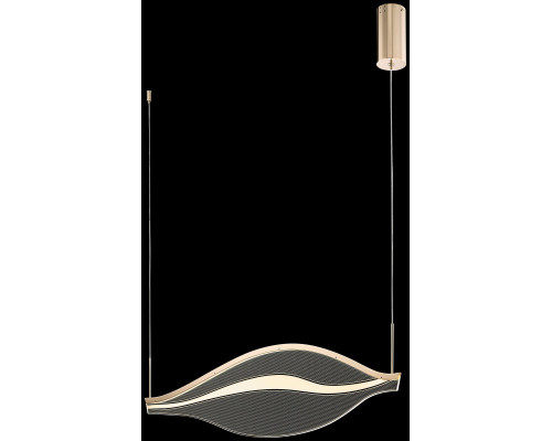 Оформить заказ Подвесной светильник WERTMARK WE450.01.303| VIVID-LIGHT.RU