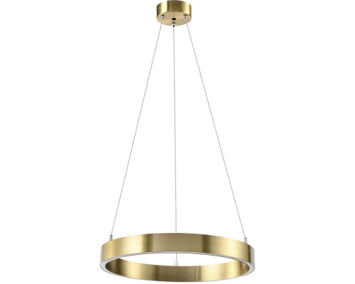 Оформить заказ Подвесной светильник Lightstar 748013| VIVID-LIGHT.RU