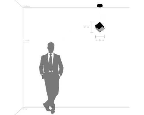 Заказать Подвесной светильник Lightstar 805502| VIVID-LIGHT.RU