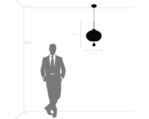 Заказать Подвесной светильник Lightstar 805306| VIVID-LIGHT.RU