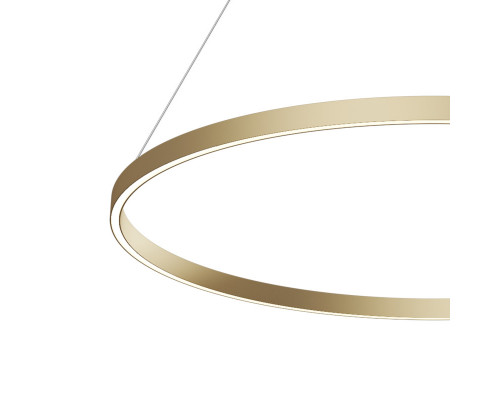 Купить Подвесной светильник Maytoni MOD058PL-L54BSK| VIVID-LIGHT.RU