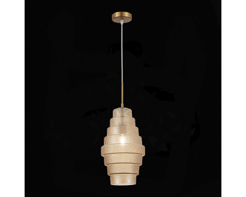 Заказать Подвесной светильник ST-Luce SL1001.203.01| VIVID-LIGHT.RU