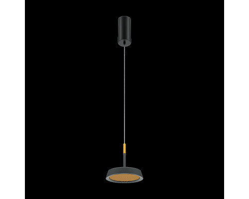 Заказать Подвесной светильник Maytoni MOD041PL-L15GB3K| VIVID-LIGHT.RU
