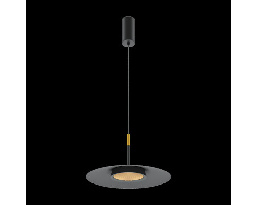 Купить Подвесной светильник Maytoni MOD041PL-L15B3K1| VIVID-LIGHT.RU