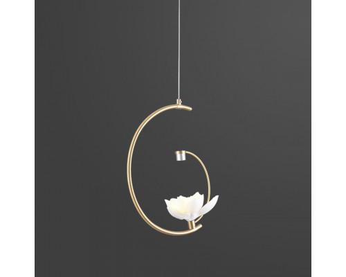 Сделать заказ Подвесной светильник ImperiumLoft 101770-26| VIVID-LIGHT.RU