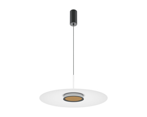 Оформить заказ Подвесной светильник Maytoni MOD041PL-L15W3K1| VIVID-LIGHT.RU