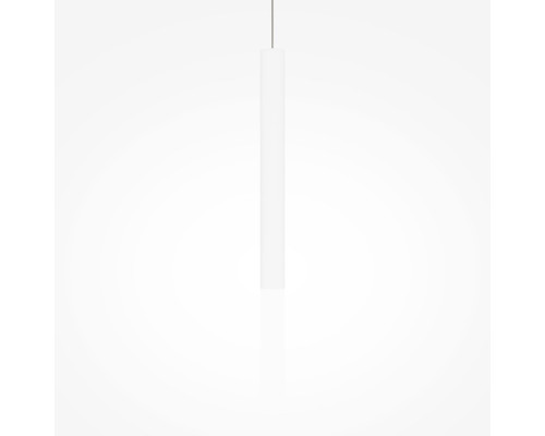 Купить Подвесной светильник Maytoni MOD157PL-L6WK| VIVID-LIGHT.RU