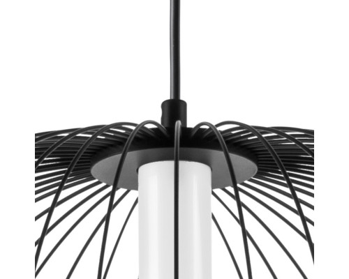 Купить Подвесной светильник Lightstar 734067| VIVID-LIGHT.RU