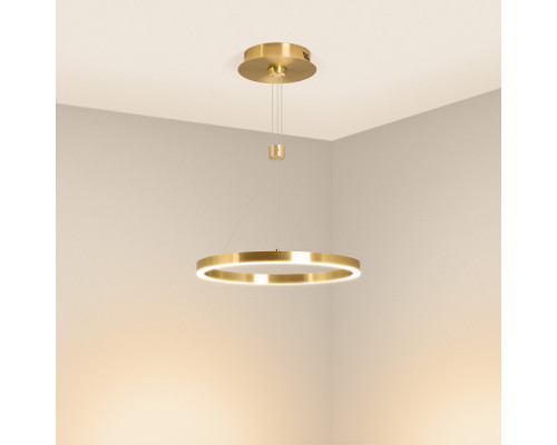 Заказать Подвесной светильник Arlight 046209| VIVID-LIGHT.RU