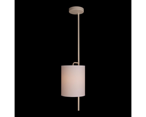 Заказать Подвесной светильник LOFT IT 10253P White| VIVID-LIGHT.RU