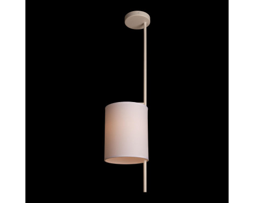 Заказать Подвесной светильник LOFT IT 10253P White| VIVID-LIGHT.RU