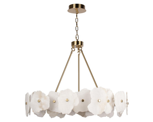 Оформить заказ Подвесной светильник LOFT IT 10248/800| VIVID-LIGHT.RU