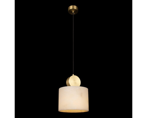 Оформить заказ Подвесной светильник LOFT IT 10249/C| VIVID-LIGHT.RU