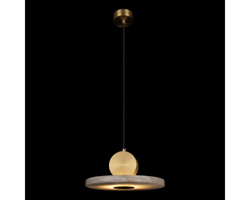 Заказать Подвесной светильник LOFT IT 10249/D| VIVID-LIGHT.RU