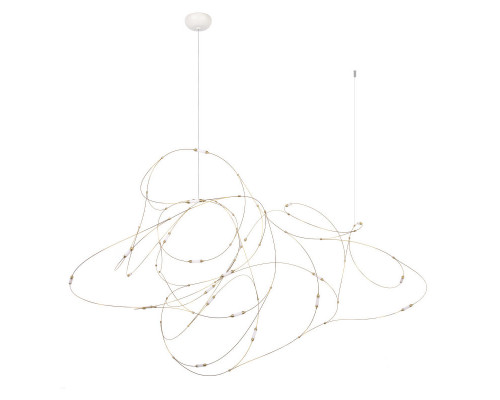 Заказать Подвесной светильник LOFT IT 10309/21| VIVID-LIGHT.RU