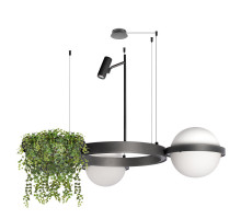 Подвесной светильник LOFT IT 10121/2 Dark grey