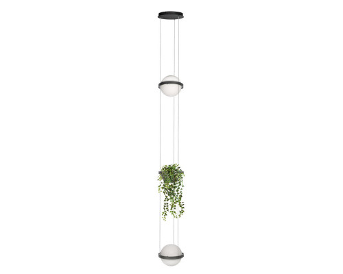 Купить Подвесной светильник LOFT IT 10121/2P Dark grey| VIVID-LIGHT.RU