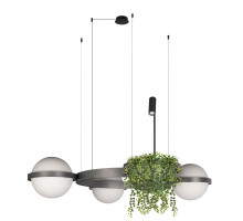 Подвесной светильник LOFT IT 10121/3 Dark grey