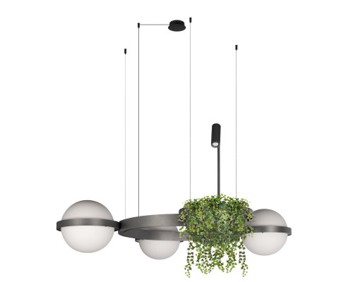 Оформить заказ Подвесной светильник LOFT IT 10121/3 Dark grey| VIVID-LIGHT.RU