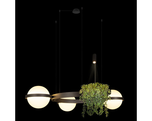 Оформить заказ Подвесной светильник LOFT IT 10121/3 Dark grey| VIVID-LIGHT.RU