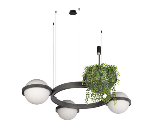 Оформить заказ Подвесной светильник LOFT IT 10121/3 Dark grey| VIVID-LIGHT.RU