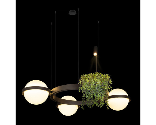 Оформить заказ Подвесной светильник LOFT IT 10121/3 Dark grey| VIVID-LIGHT.RU