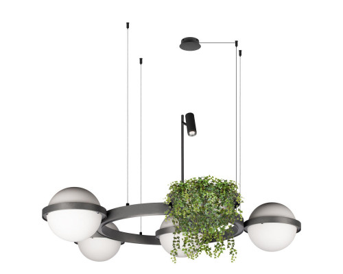 Оформить заказ Подвесной светильник LOFT IT 10121/4 Dark grey| VIVID-LIGHT.RU