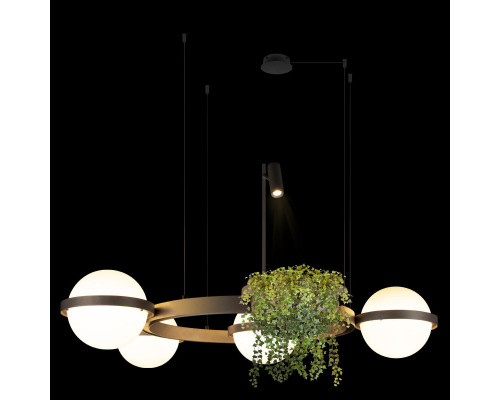 Оформить заказ Подвесной светильник LOFT IT 10121/4 Dark grey| VIVID-LIGHT.RU