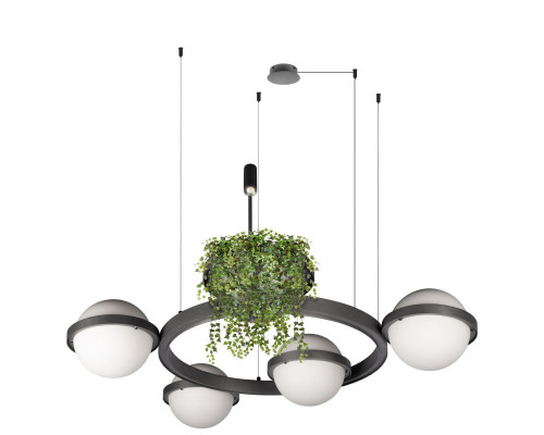 Оформить заказ Подвесной светильник LOFT IT 10121/4 Dark grey| VIVID-LIGHT.RU