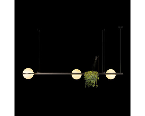 Оформить заказ Подвесной светильник LOFT IT 10121/C Dark grey| VIVID-LIGHT.RU