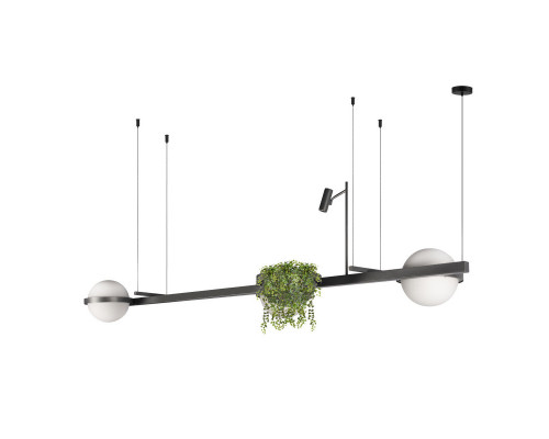 Оформить заказ Подвесной светильник LOFT IT 10121/C Dark grey| VIVID-LIGHT.RU