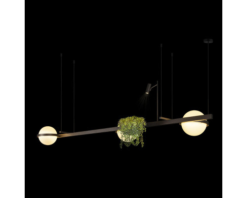 Оформить заказ Подвесной светильник LOFT IT 10121/C Dark grey| VIVID-LIGHT.RU