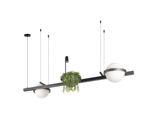 Оформить заказ Подвесной светильник LOFT IT 10121/D Dark grey| VIVID-LIGHT.RU