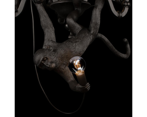 Сделать заказ Подвесной светильник LOFT IT 10314 Black| VIVID-LIGHT.RU