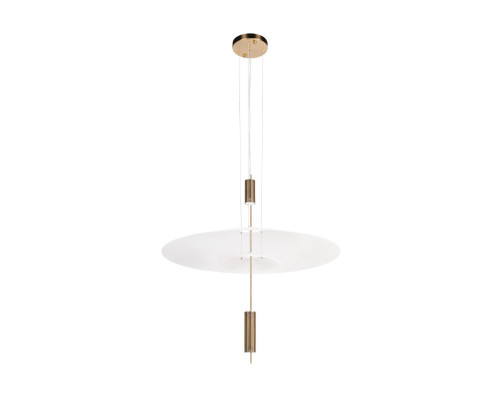 Заказать Подвесной светильник LOFT IT 10244/A Brass| VIVID-LIGHT.RU